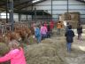 FERME2.JPG